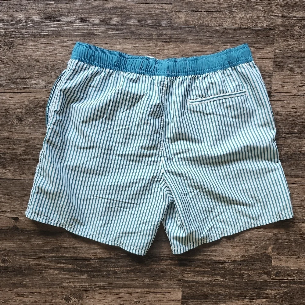 Islandhaze Aqua and White Striped Board Surfer Swim Trunks